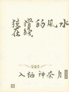 狡猾的风水相师在线