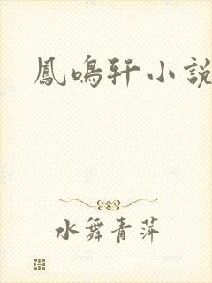 凤鸣轩小说