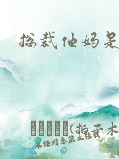 总裁他妈是团宠