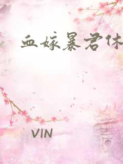 血嫁暴君休了你