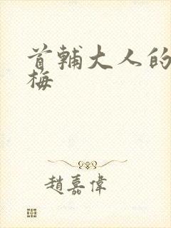 首辅大人的小青梅