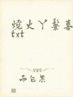 烧火丫鬟喜洋洋txt