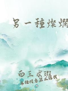 另一种灿烂生活