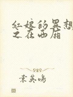 红娘的异想世界之在西厢
