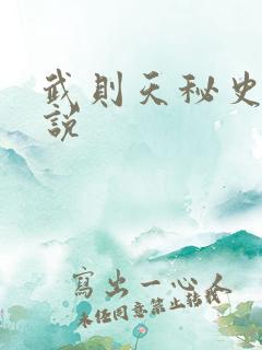 武则天秘史 小说