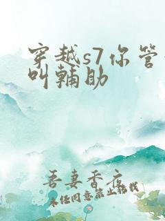 穿越s7你管这叫辅助