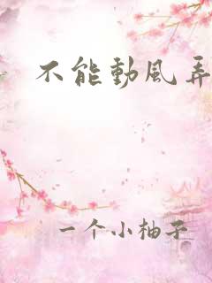 不能动风弄