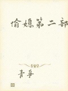 偷媳第二部雨婷