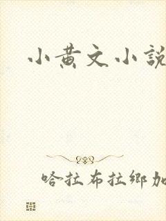 小黄文小说