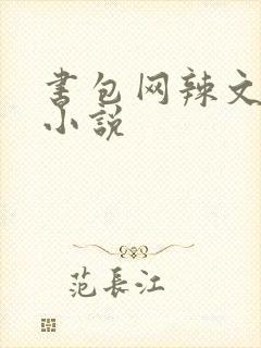 书包网辣文全本小说