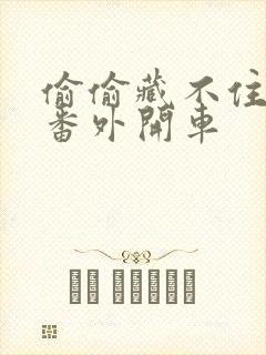 偷偷藏不住婚后番外开车