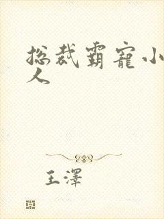 总裁霸宠小小女人