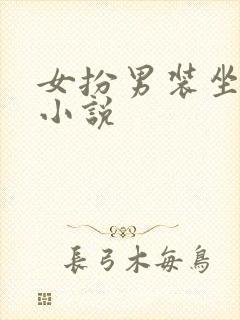 女扮男装坐江山小说