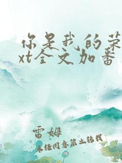 你是我的荣耀txt全文加番外