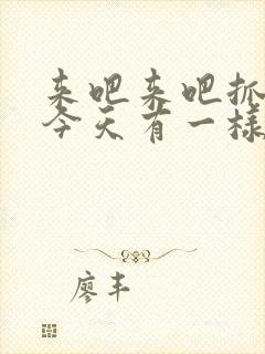 来吧来吧抓紧点今天有一样好东西