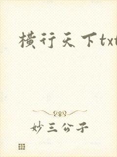 横行天下txt