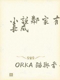 小说邻家有女初长成