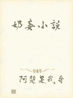 奶妾小说
