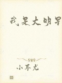 我是大明星周天