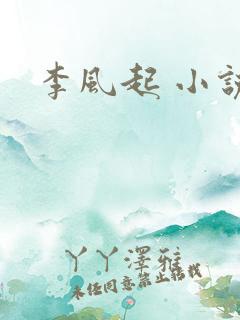 李风起 小说