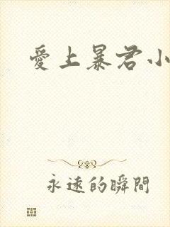 爱上暴君小甜心