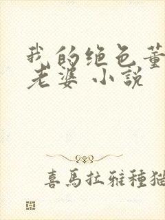 我的绝色董事长老婆 小说