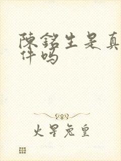 陈铭生是真实事件吗