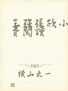 王强张欣小说免费阅读