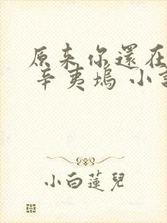 原来你还在这里 辛夷坞 小说