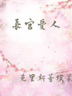 长官爱人