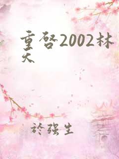 重启2002林天