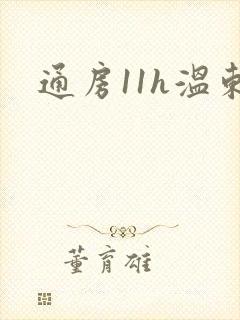 通房11h温东