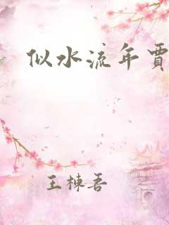 似水流年贾二虎