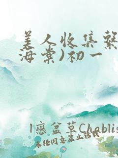 美人收集系统(海棠)初一