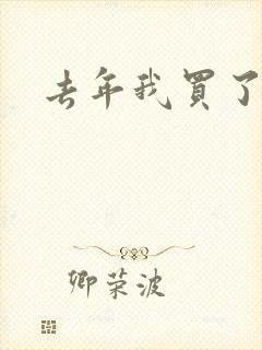 去年我买了个表