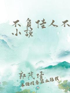 不负佳人不负卿小说
