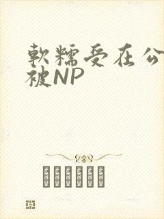 软糯受在公交车被NP