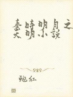 秦时明月之夜尽天明小说