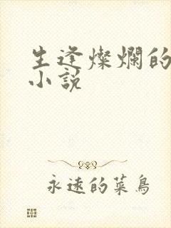 生逢灿烂的日子小说