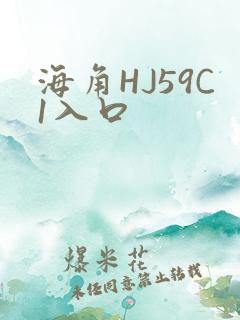 海角HJ59C1入口