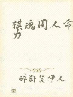 棋魂同人命运之力