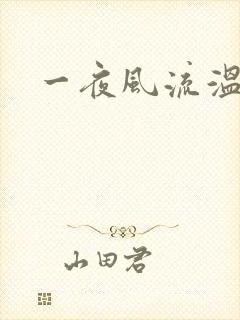 一夜风流温暮生