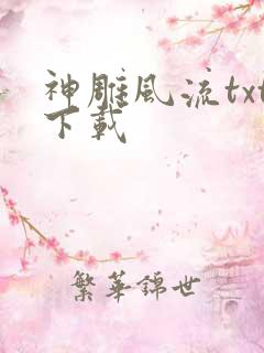 神雕风流txt下载