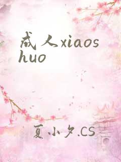 成人xiaoshuo