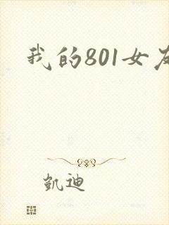 我的801女友