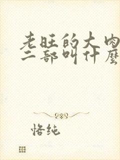 老旺的大肉蟒第二部叫什么小说