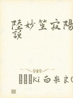 陆妙笙寂阳朔小说