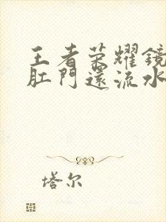 王者荣耀镜被捅肛门还流水