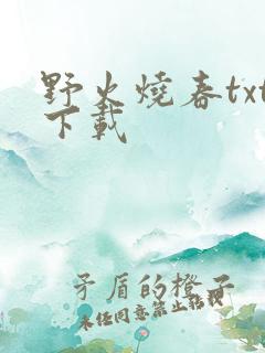 野火烧春txt下载