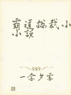 霸道总裁小娇妻小说